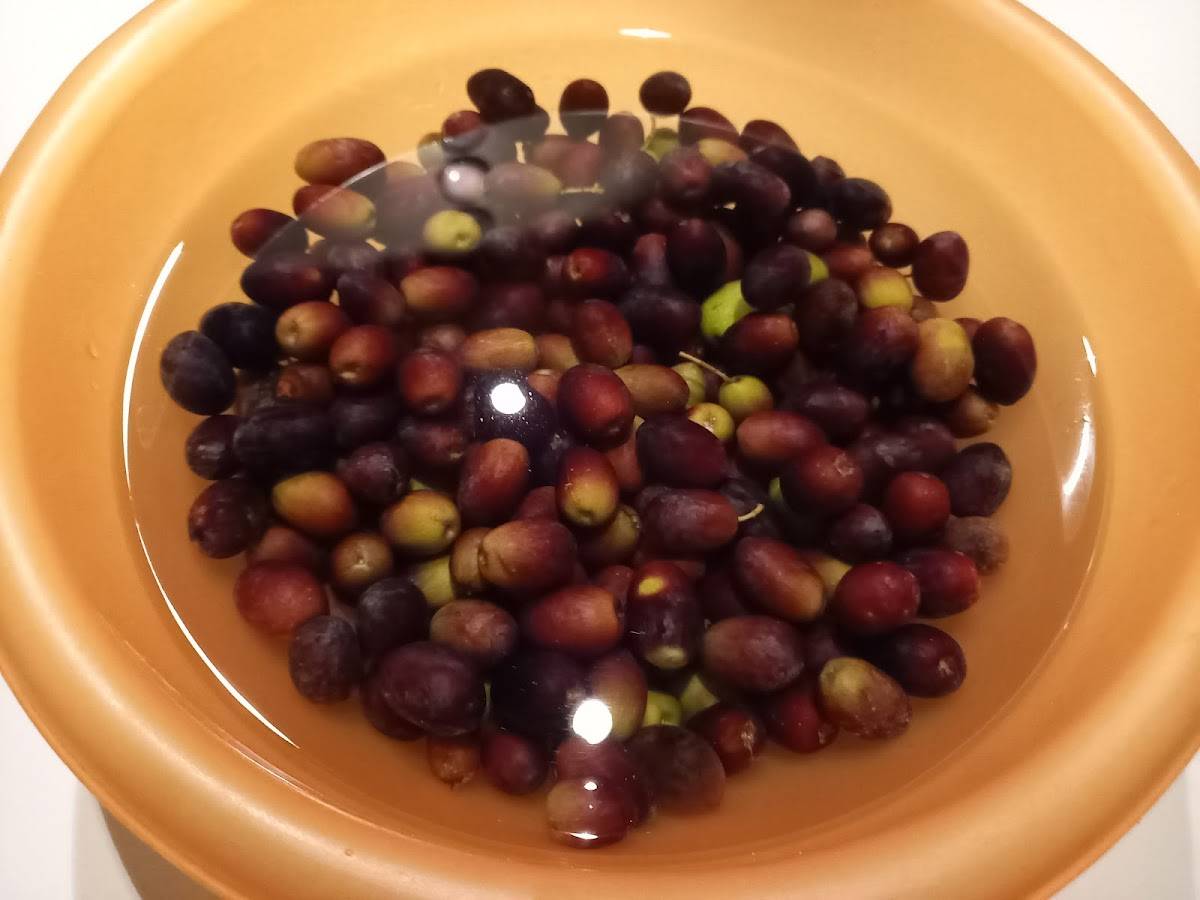 Menu di 10 e Lode Food & Drink 