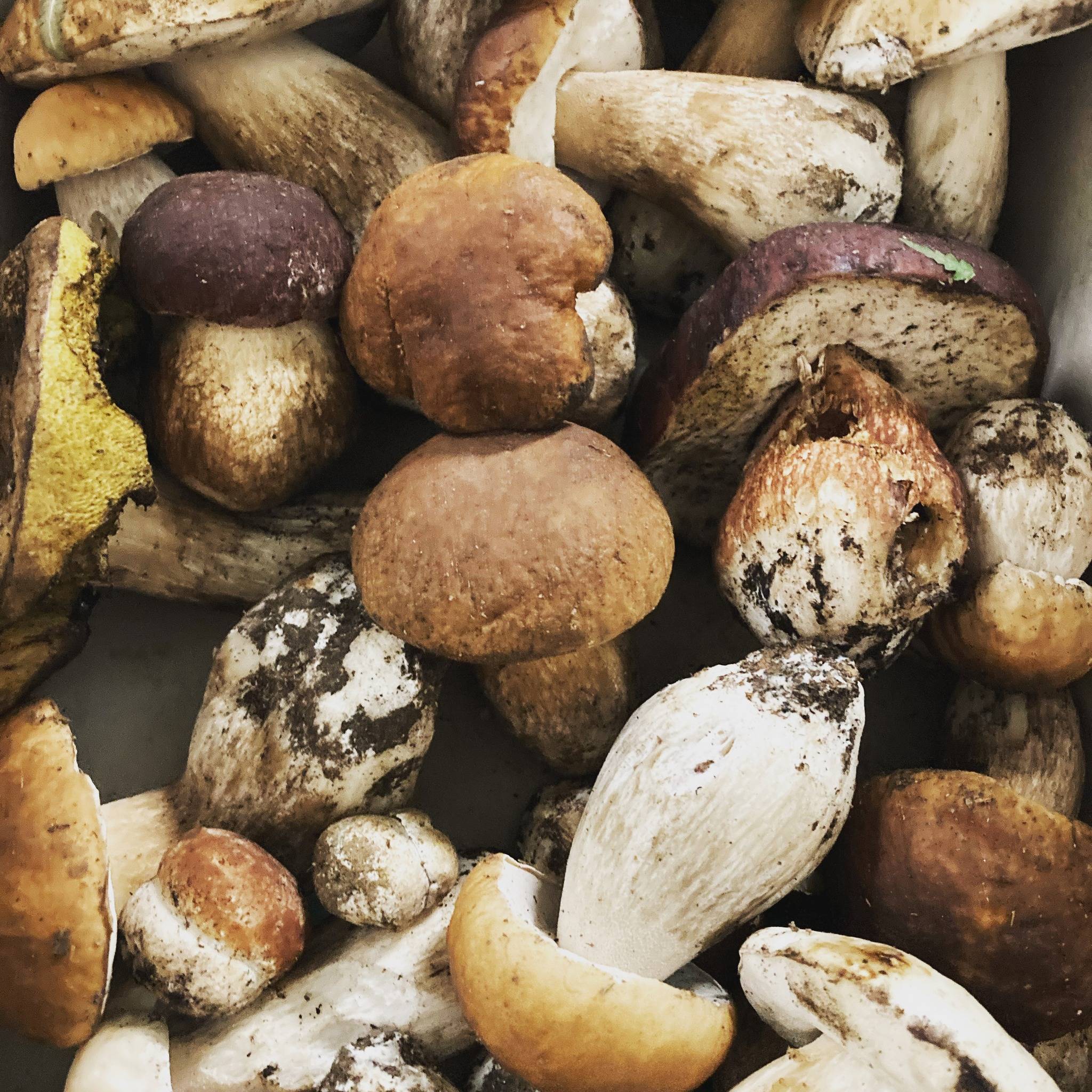 Menu di Ristorante Pinocchio 