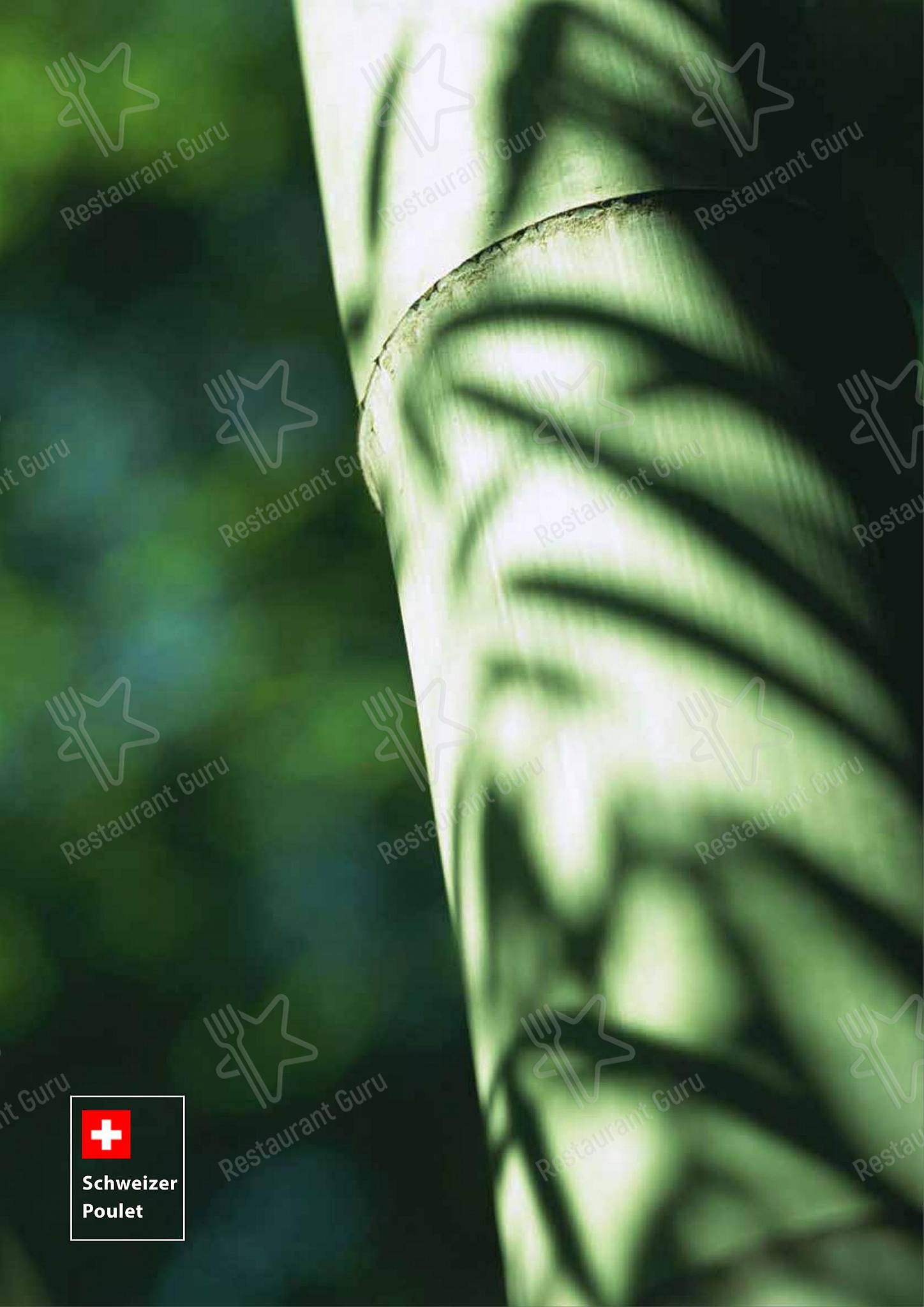 Yan-Ruyi Restaurant in Zurigo - Table Menu